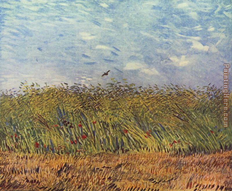 wheat field with a lark 1887 painting - Vincent van Gogh wheat field with a lark 1887 art painting